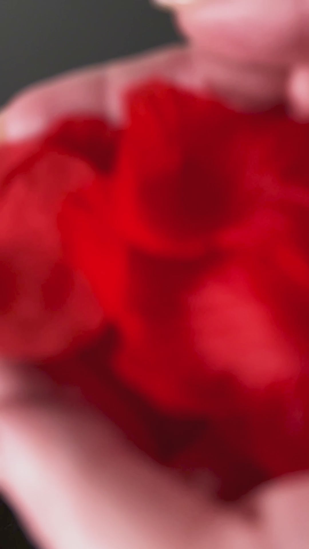 Rose Petals