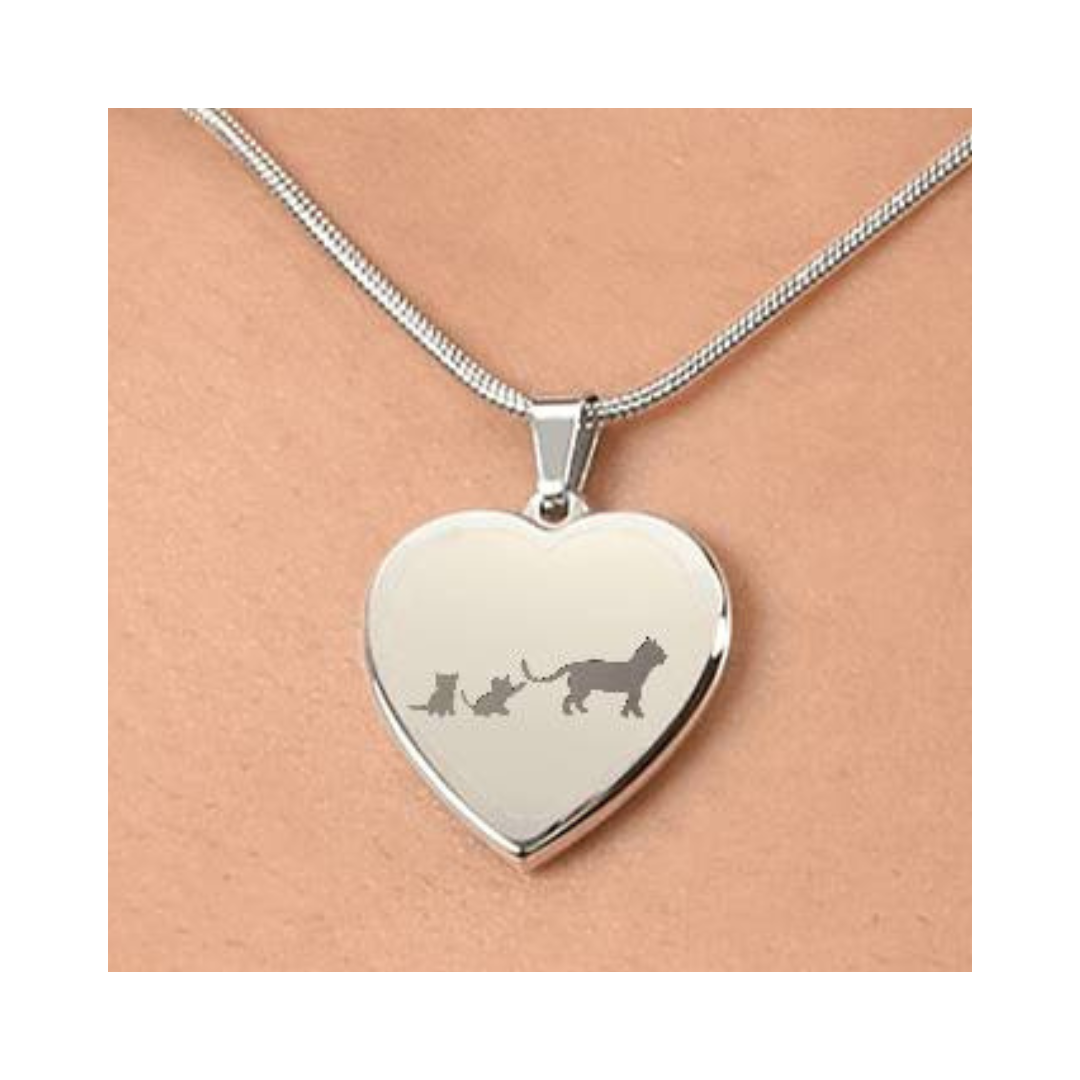 Surprise your loved one by giving them this sweet Engraved Heart Necklace! It's a classic and heartfelt jewelry piece that is sure be treasured.&nbsp;