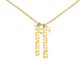 Personalized 2 Vertical Name Necklace